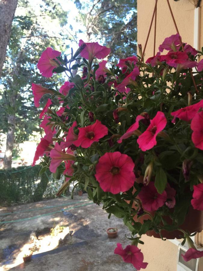 B&B Villa Il Carrubo San Vito Lo Capo Zewnętrze zdjęcie