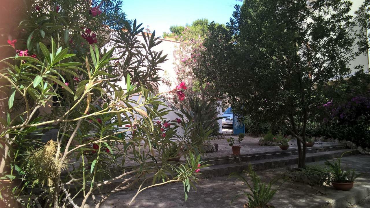 B&B Villa Il Carrubo San Vito Lo Capo Zewnętrze zdjęcie